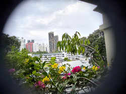 Spring Grove (D10), Condominium #478914841